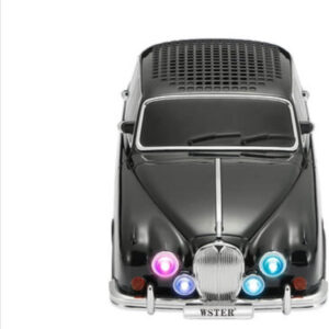 Wireless Car Speaker